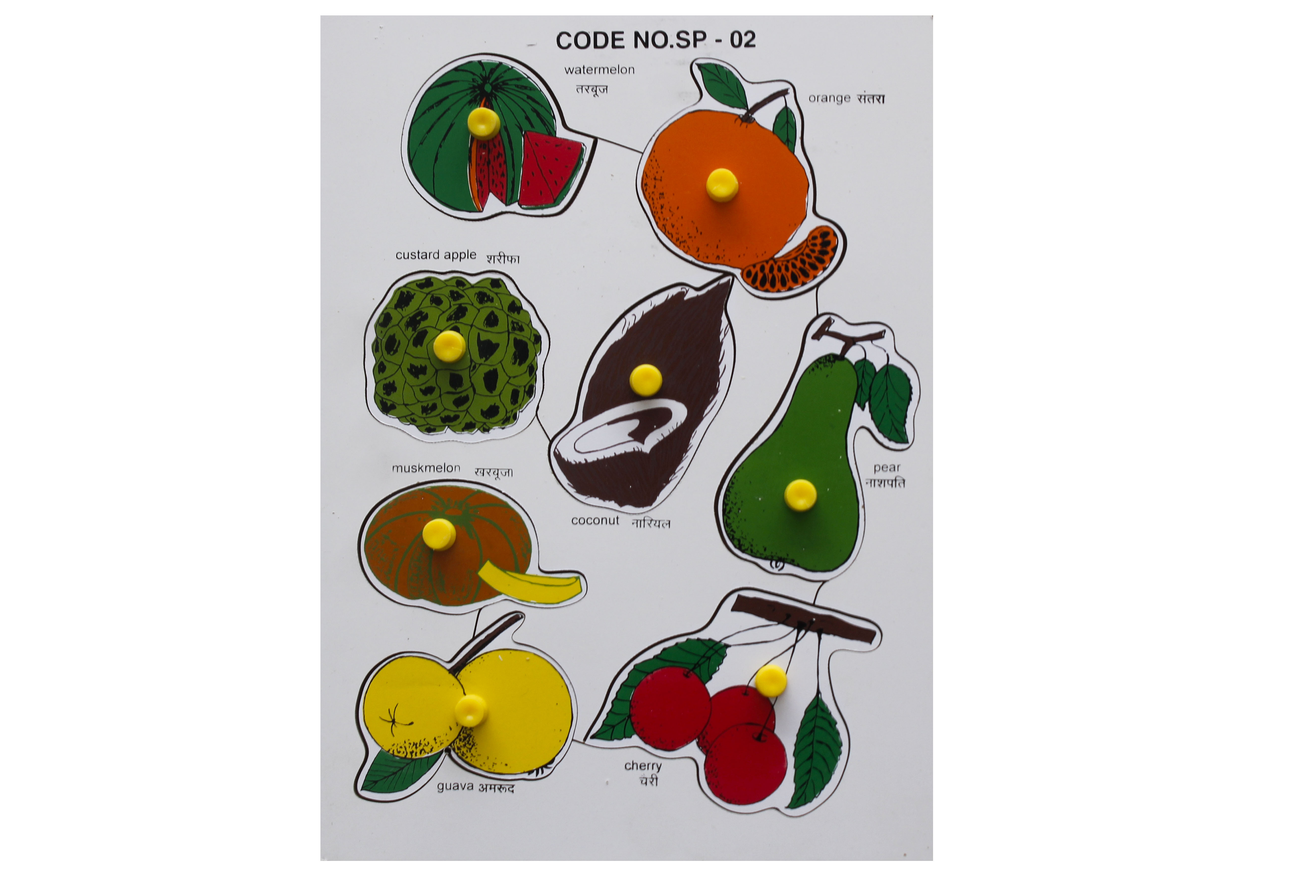 FRUITS-ORANGE TRAY