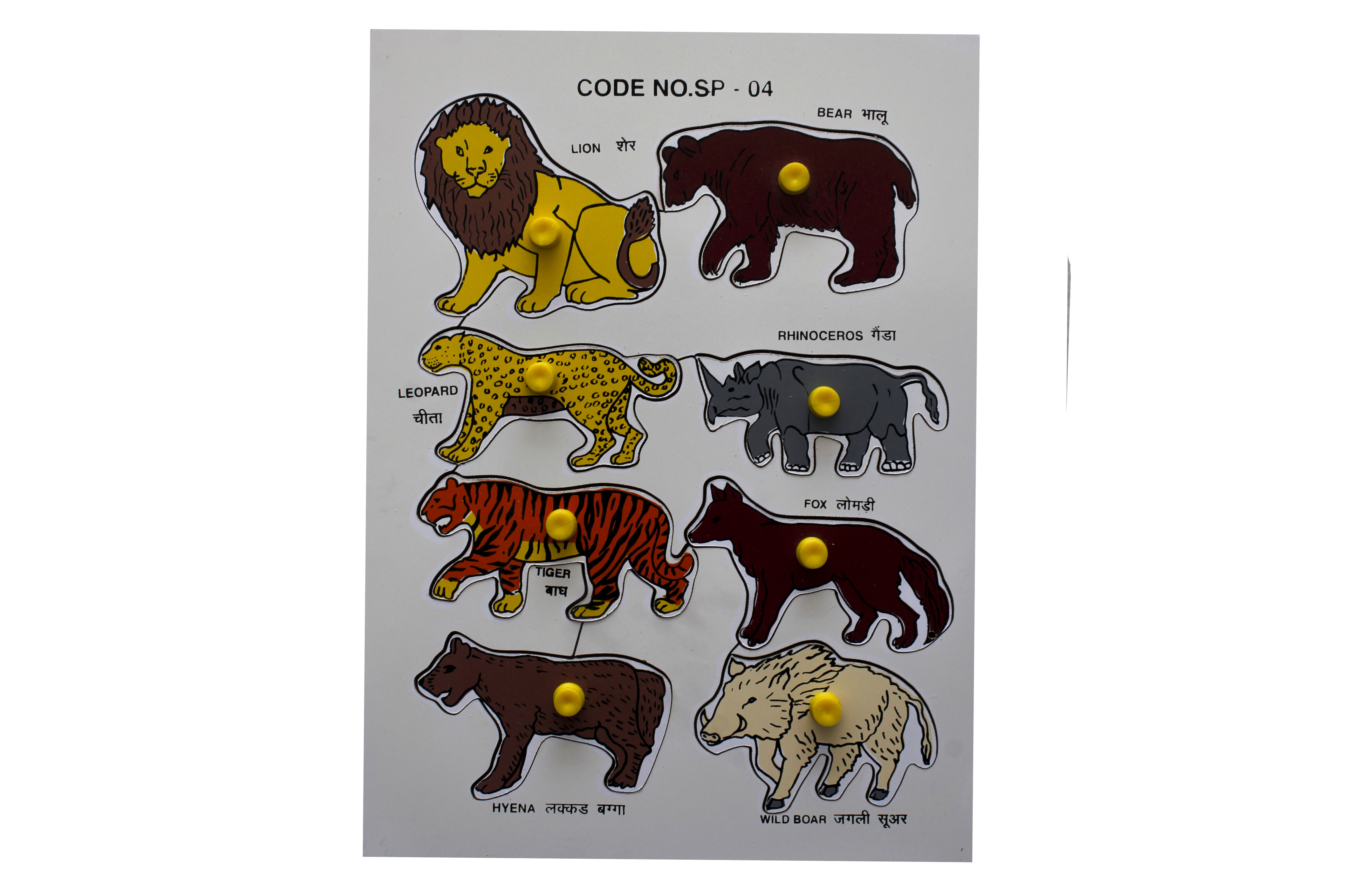 WILD-ANIMAL - LION TRAY